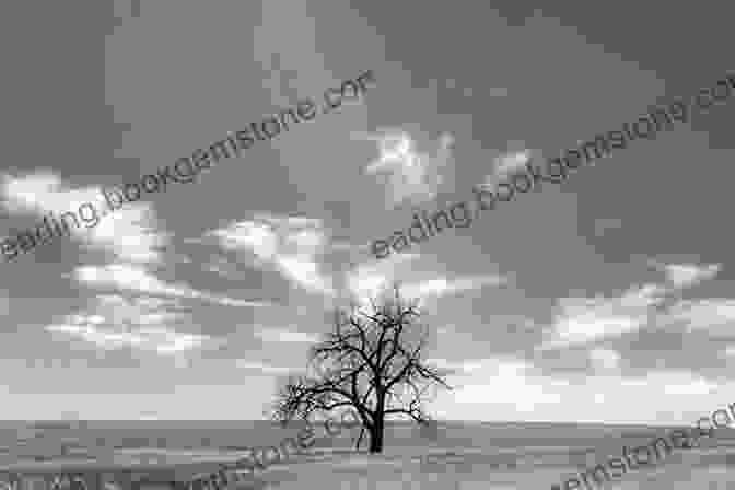 A Black And White Photograph Of A Lone Tree Standing In A Vast And Empty Field, Creating A Sense Of Isolation And Beauty. The Art Of Stone Painting: 30 Designs To Spark Your Creativity