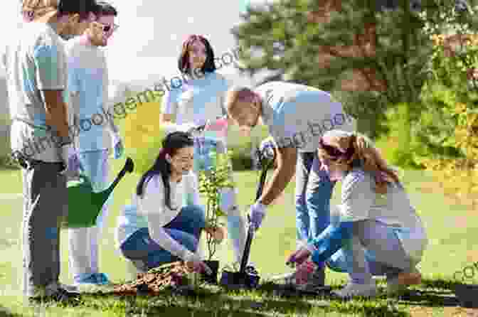 A Group Of People Planting Trees In A Forest The Tree Folk