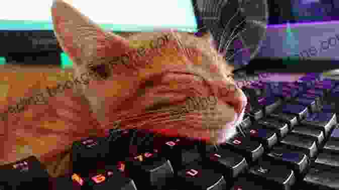 A Photograph Of A Cat Sitting On A Computer Keyboard. Hand Lettering For Laughter: Gorgeous Art With A Hilarious Twist
