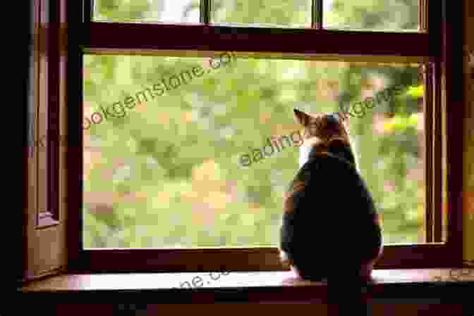 A Siamese Cat Sitting On A Windowsill, Looking Out The Window With A Curious Expression. Draw And Paint 50 Animals: Dogs Cats Birds Horses And More