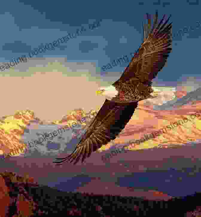 A Wildlife Photograph Featuring A Majestic Eagle Soaring Through The Sky, Capturing The Beauty And Power Of Nature. The Art Of Stone Painting: 30 Designs To Spark Your Creativity