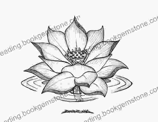 An Intricate Sketch Of A Lotus Flower, Its Petals Unfurling With Delicate Precision And Its Symbolism Profound. Tattoo Images: ART TATTOO ORIENTAL III: 120 Paintings Designs And Oriental Sketches (Planet Tattoo 4)