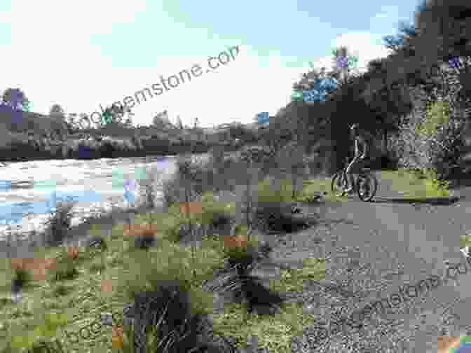 Chris Jolly Cycling Along The Waikato River A Bit Mental: One Man S Mission To Lilo The Waikato