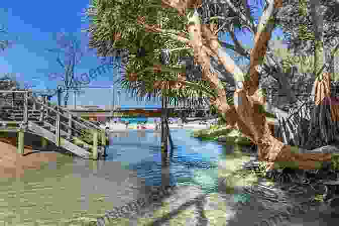 Eli Creek On Fraser Island, Australia My Favorite Places In Australia: Fraser Island