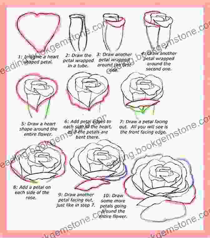 How To Draw A Rose How To Draw: Flowers: In Simple Steps