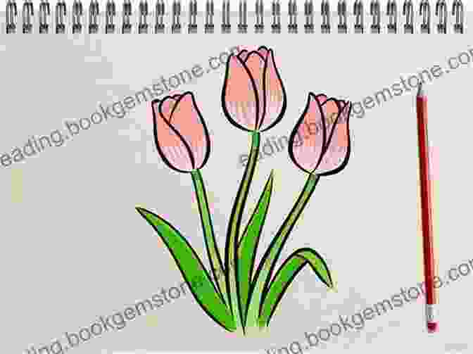 How To Draw A Tulip How To Draw: Flowers: In Simple Steps