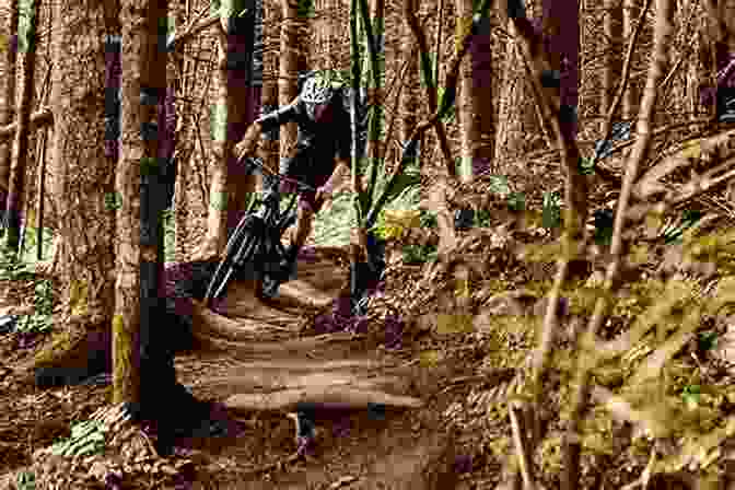Mountain Bikers Riding Through A Forest Trail In The Snowy Mountains Nature Escapes Snowy Mountains New South Wales