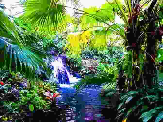 Vibrant Rainforest With Cascading Waterfalls Expat Tales: Their Real Costa Rica Journeys (First Edition 0)