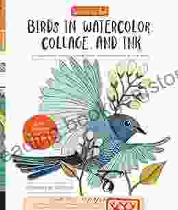 Geninne S Art: Birds In Watercolor Collage And Ink: A Field Guide To Art Techniques And Observing In The Wild